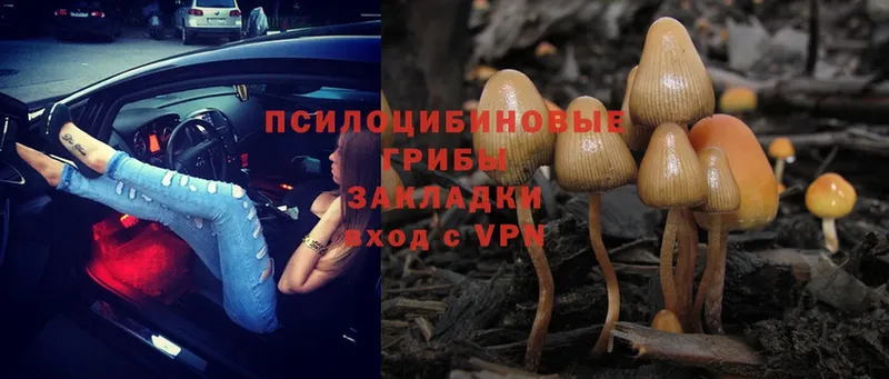 Галлюциногенные грибы Psilocybe  сайты даркнета состав  Красноуральск 